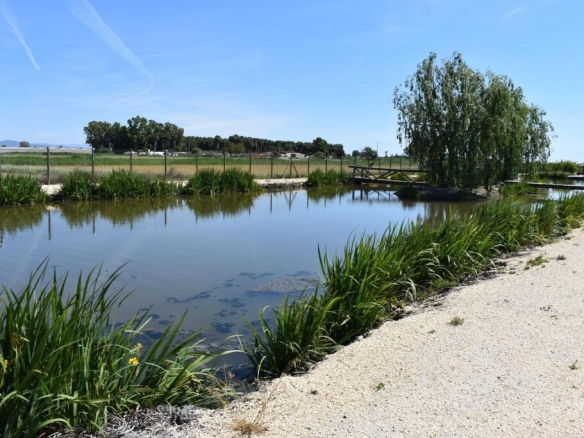 Imagen 3 de Magnifica finca rustica en el Parque natural del Delta del Ebro!