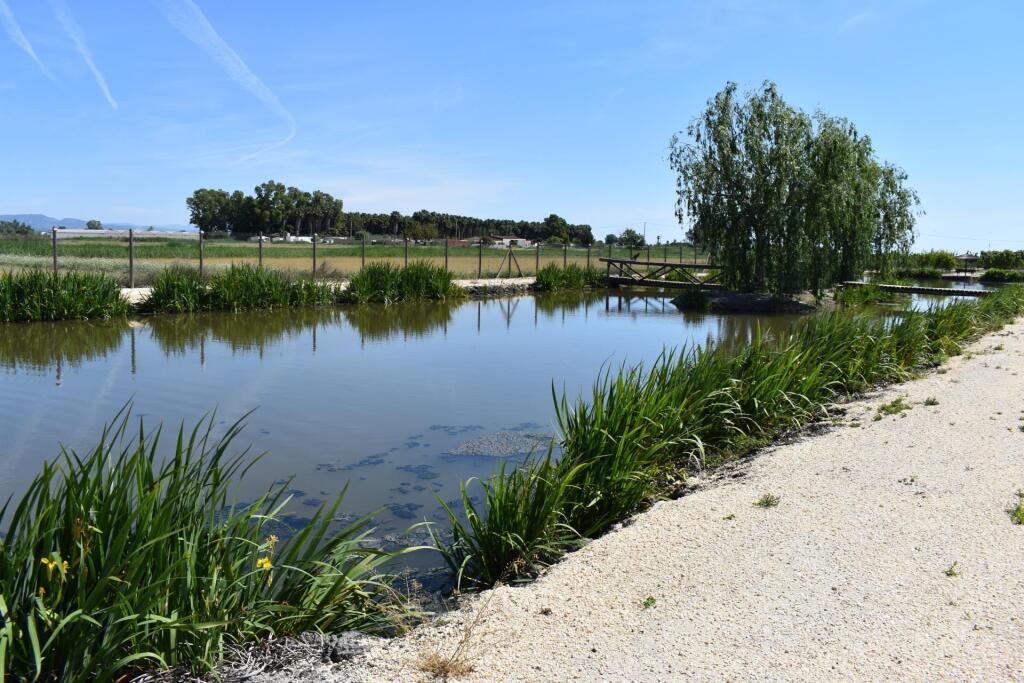 Imagen 3 de Magnifica finca rustica en el Parque natural del Delta del Ebro! Imagen 3 de Magnifica finca rustica en el Parque natural del Delta del Ebro!