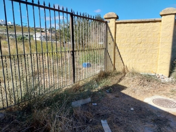 Imagen 2 de ALQUILER DE TERRENO RÚSTICO - 2000 M²