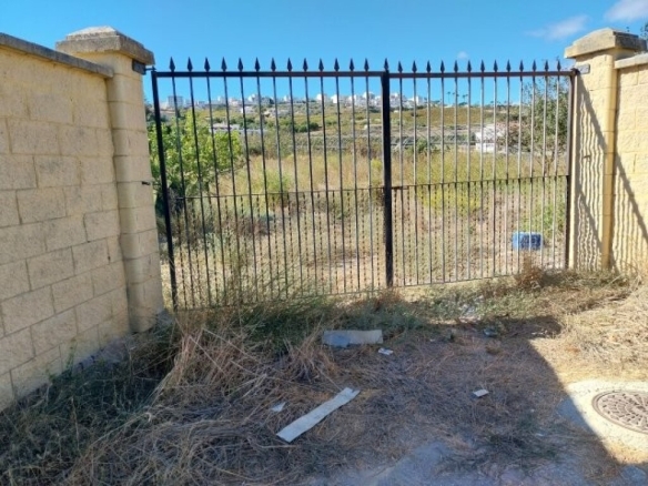 Imagen 4 de ALQUILER DE TERRENO RÚSTICO - 2000 M²