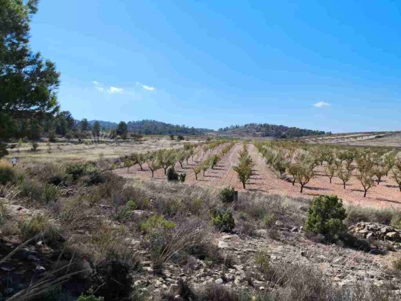 Imagen 2 de Suelo rústico en Venta en Jumilla Murcia