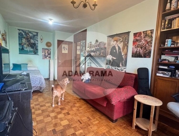 Imagen 1 de Venta de piso en Pontevedra - El Club del Propietario Imagen 1 de Venta de piso en Pontevedra