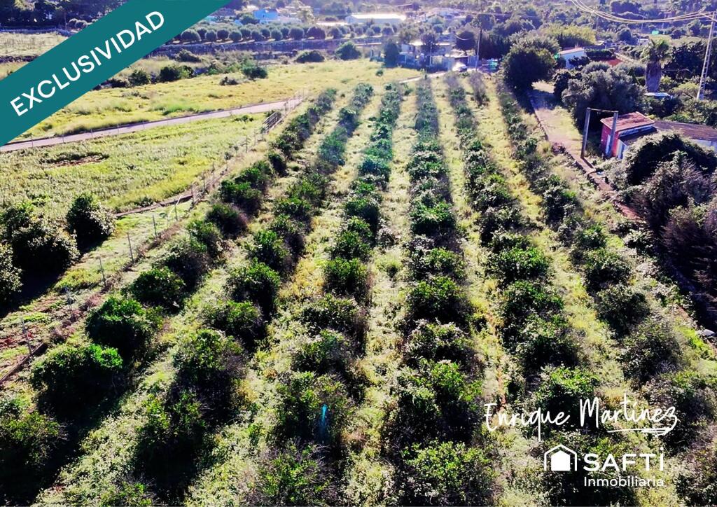 Imagen 2 de Tu refugio natural con vistas al Montgó.