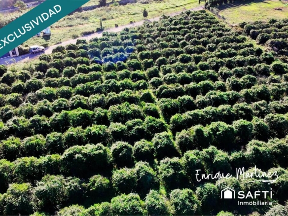 Imagen 2 de La parcela donde tus sueños toman forma.