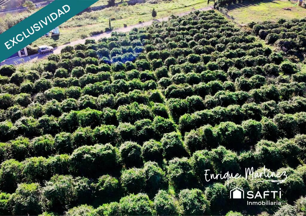 Imagen 2 de La parcela donde tus sueños toman forma.