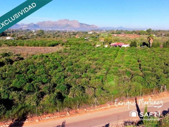 Imagen 3 de La parcela donde tus sueños toman forma.