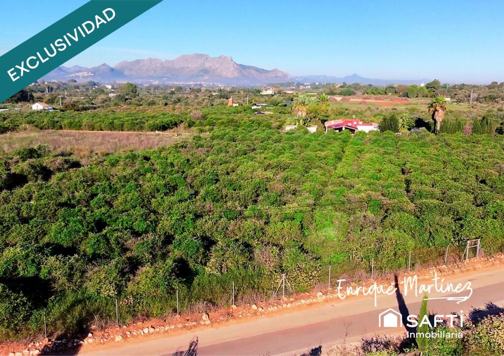 Imagen 3 de La parcela donde tus sueños toman forma.