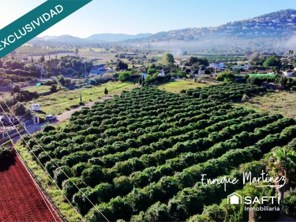 Imagen 1 de La parcela donde tus sueños toman forma.