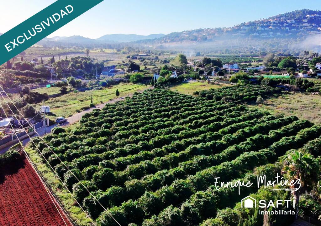 Imagen 1 de La parcela donde tus sueños toman forma.