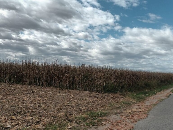 Imagen 2 de Casa de campo-Masía en Venta en Estartit Girona