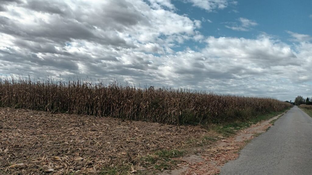 Imagen 2 de Casa de campo-Masía en Venta en Estartit Girona Imagen 2 de Casa de campo-Masía en Venta en Estartit Girona