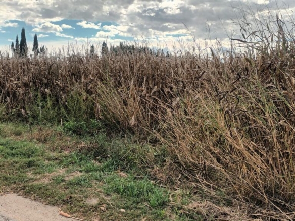 Imagen 1 de Casa de campo-Masía en Venta en Estartit Girona - El Club del Propietario Imagen 1 de Casa de campo-Masía en Venta en Estartit Girona