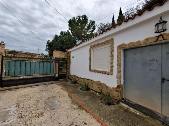 Imagen 2 de Campo único en Elda