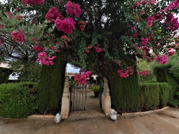 Imagen 1 de Campo único en Elda - El Club del Propietario Imagen 1 de Campo único en Elda