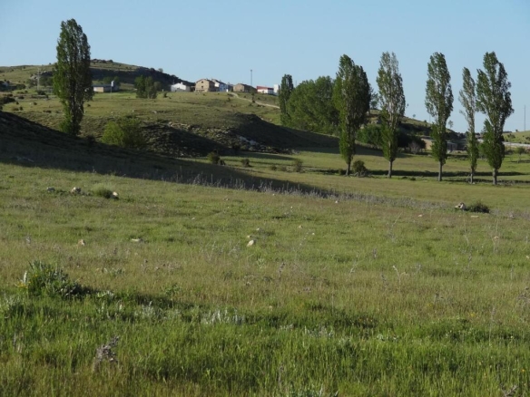 Imagen 2 de Propiedad con 5 apartamentos turísticos en entorno natural privilegiado. SIN COMISIÓN DE COMPRA.