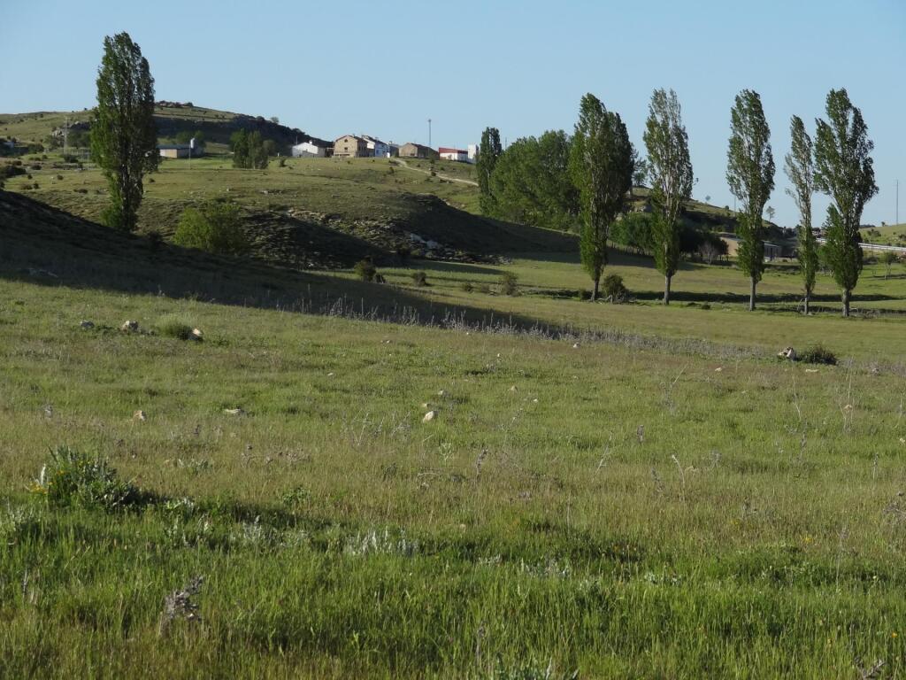 Imagen 2 de Propiedad con 5 apartamentos turísticos en entorno natural privilegiado. SIN COMISIÓN DE COMPRA. Imagen 2 de Propiedad con 5 apartamentos turísticos en entorno natural privilegiado. SIN COMISIÓN DE COMPRA.