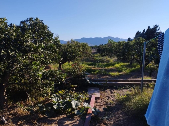 Imagen 4 de Espectacular terreno con residencial.