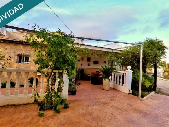 viña en producción y frutales.