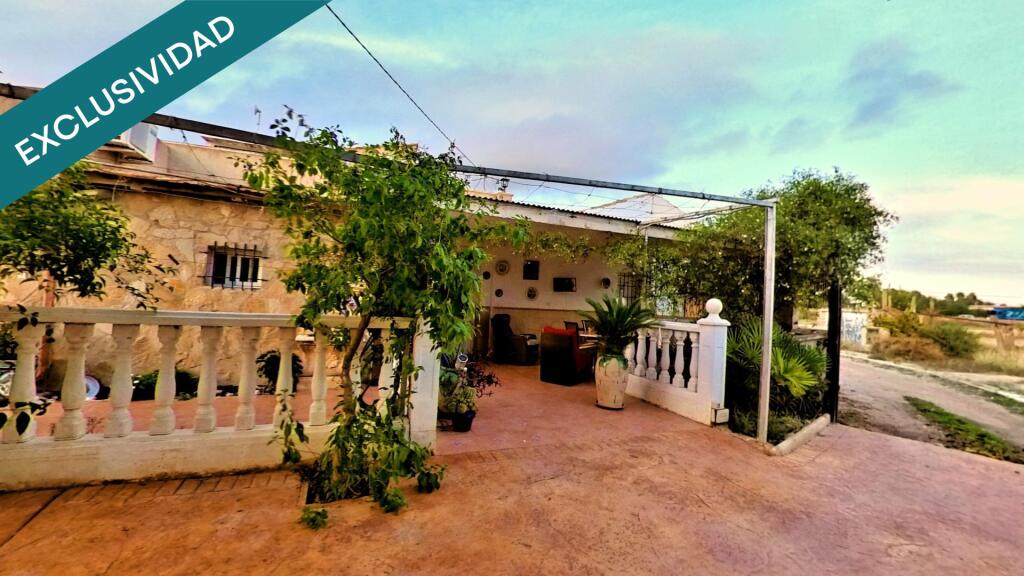 viña en producción y frutales. viña en producción y frutales.