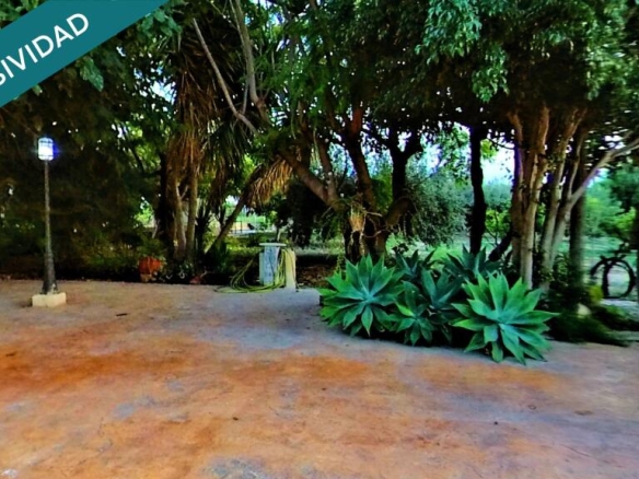 viña en producción y frutales.