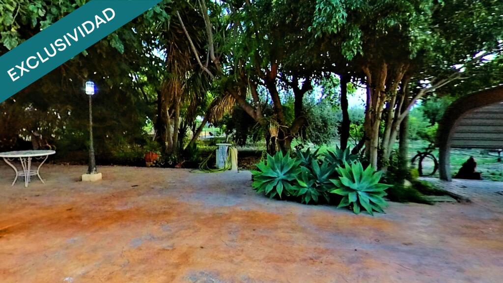 viña en producción y frutales. viña en producción y frutales.