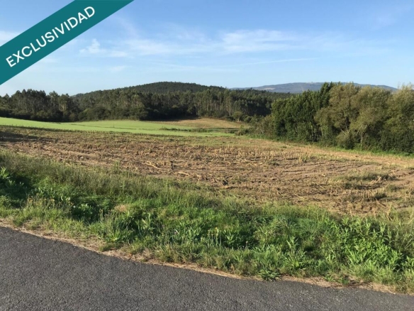 Imagen 4 de Terreno en Vilas.