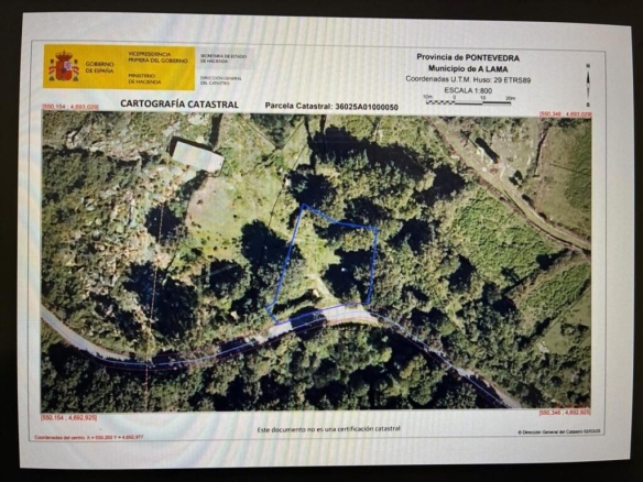 Imagen 1 de PARCELA EN A LAMA