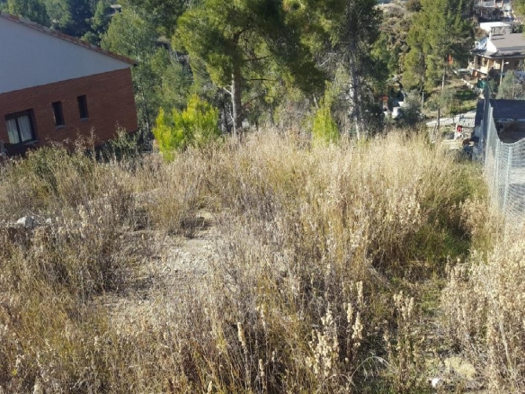 Imagen 3 de ¡GRAN OPORTUNIDAD! TERRENO EN VENTA DE 649M2 EN MAS PLANOI