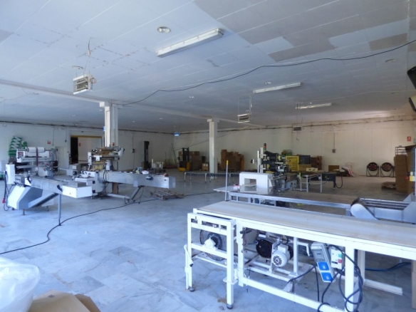 Imagen 2 de NAVE INDUSTRIAL EN VENTA DE 3750M2 EN PALA DE TORRUELLA