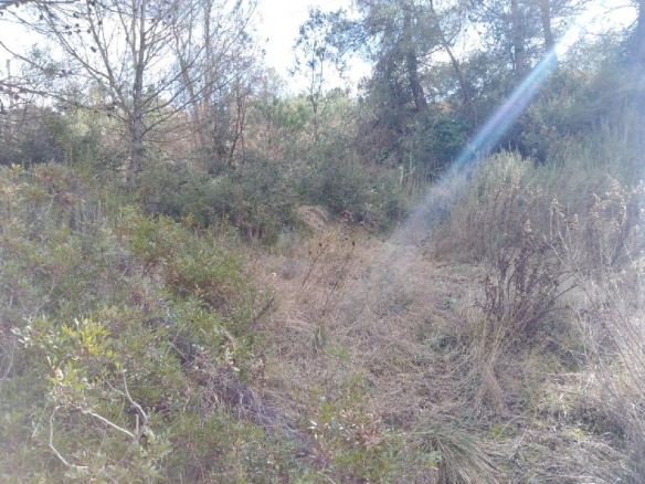 Imagen 2 de TERRENO URBANO EN VENTA EN EL PONT DE VILOMARA I ROCAFORT (RIVER PARK)