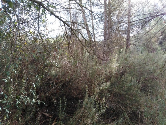 Imagen 3 de TERRENO URBANO EN VENTA EN EL PONT DE VILOMARA I ROCAFORT (RIVER PARK)