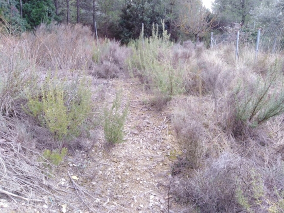 Imagen 1 de TERRENO URBANO EN VENTA EN EL PONT DE VILOMARA (RIVER PARK)