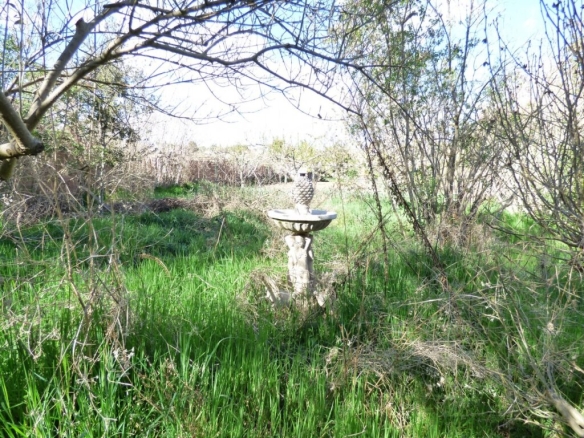 Imagen 2 de FINCA RÚSTICA DE 2.200 M2 CON AGUA DE ACEQUIA ILIMITADA