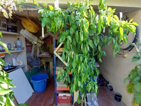 Imagen 2 de Casa-Chalet en Venta en Estartit Girona