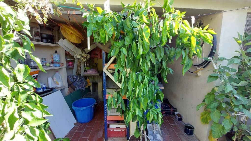 Imagen 2 de Casa-Chalet en Venta en Estartit Girona Imagen 2 de Casa-Chalet en Venta en Estartit Girona