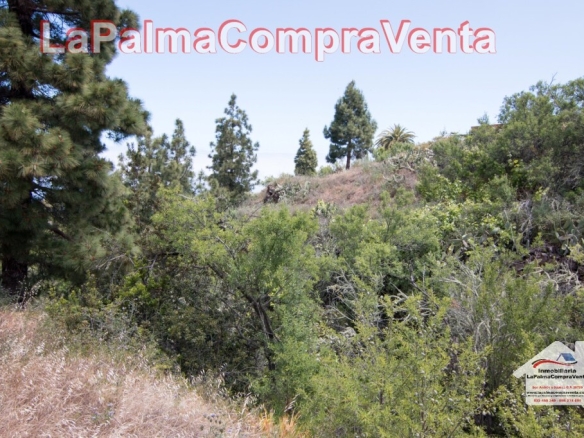 Imagen 2 de Suelo urbanizable en Venta en Puntagorda Santa Cruz de Tenerife