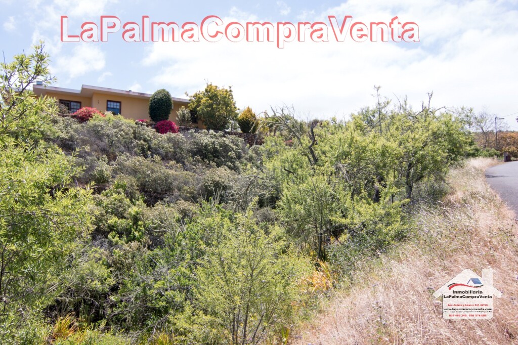 Imagen 1 de Suelo rústico en Venta en Puntagorda Santa Cruz de Tenerife