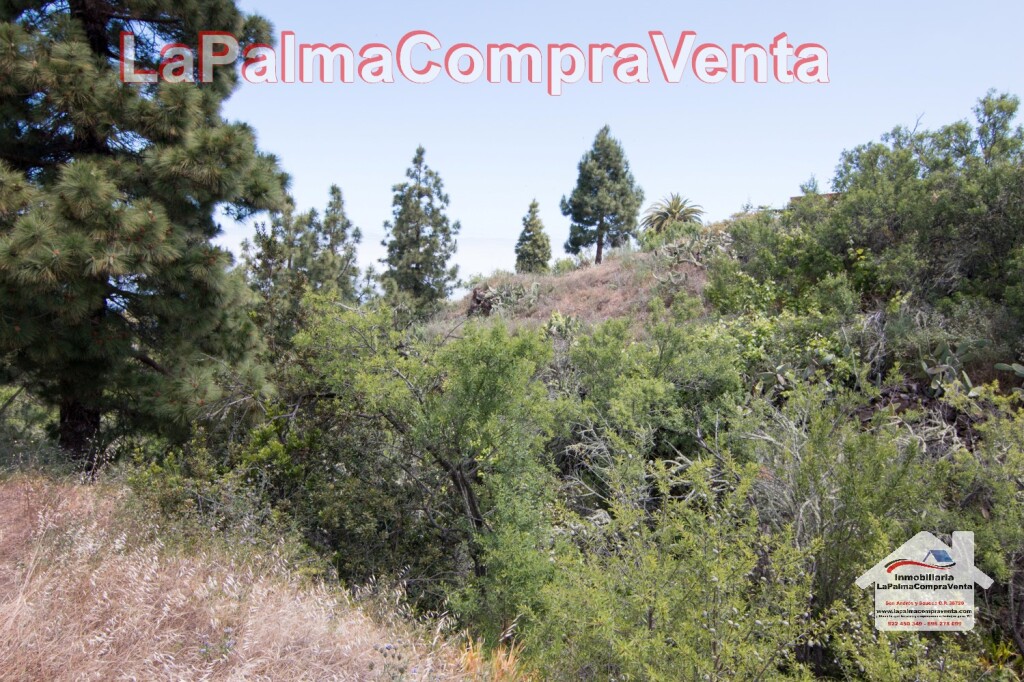 Imagen 2 de Suelo rústico en Venta en Puntagorda Santa Cruz de Tenerife