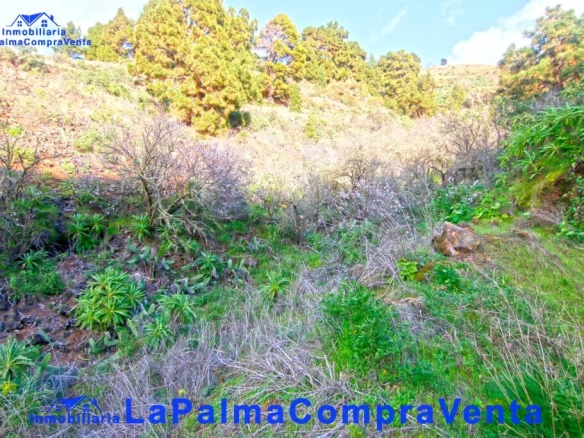 Imagen 2 de Suelo rústico en Venta en Aguatavar Santa Cruz de Tenerife