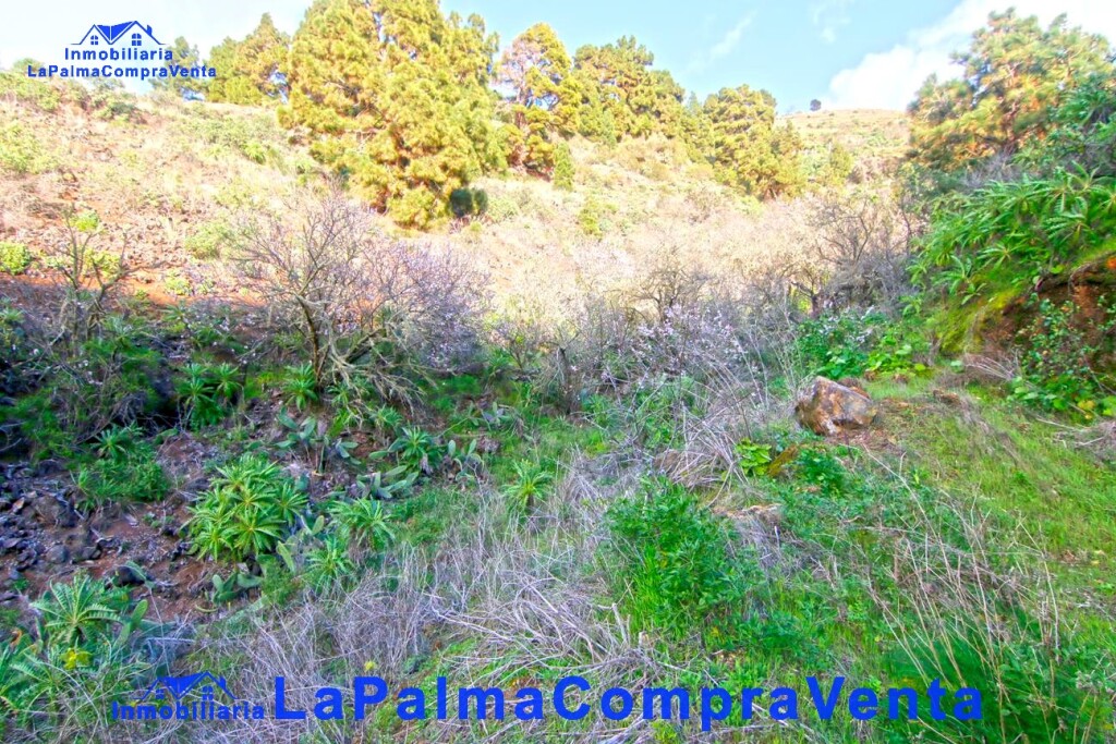 Imagen 2 de Suelo rústico en Venta en Aguatavar Santa Cruz de Tenerife