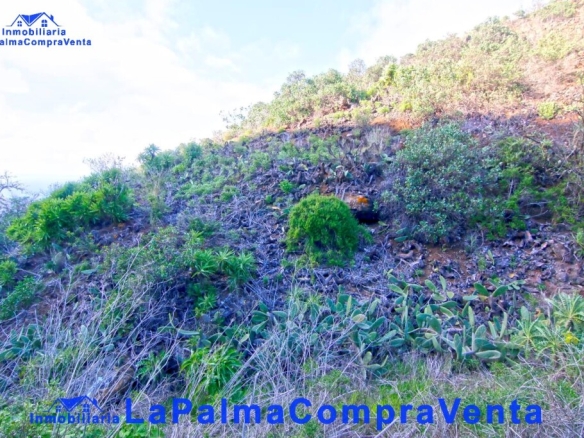 Imagen 3 de Suelo rústico en Venta en Aguatavar Santa Cruz de Tenerife