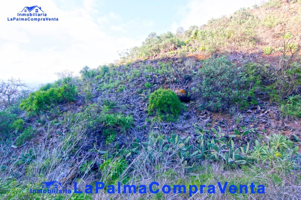 Imagen 3 de Suelo rústico en Venta en Aguatavar Santa Cruz de Tenerife