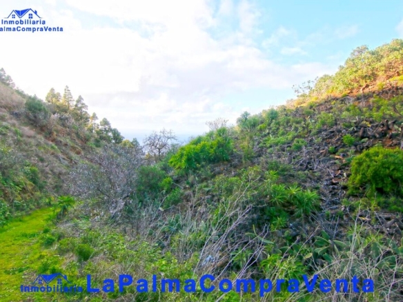 Imagen 4 de Suelo rústico en Venta en Aguatavar Santa Cruz de Tenerife