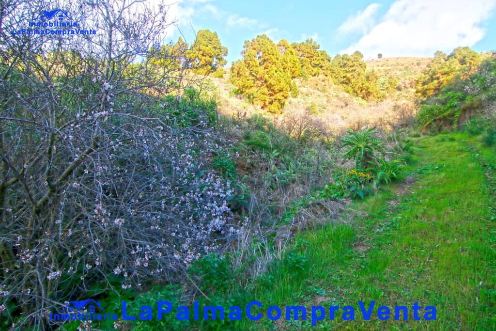 Imagen 1 de Suelo rústico en Venta en Aguatavar Santa Cruz de Tenerife
