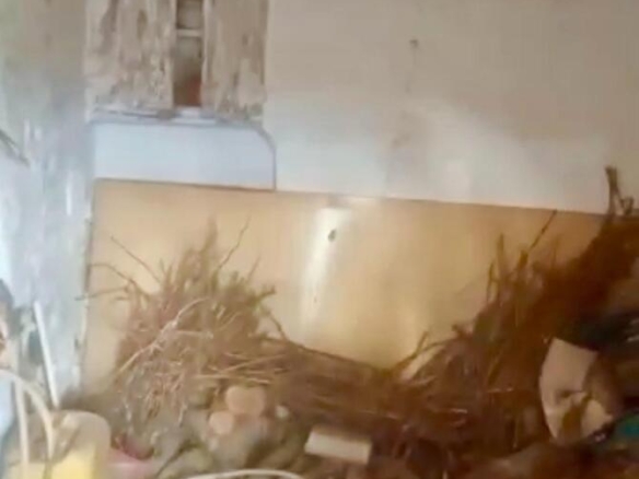 Imagen 4 de Casa con patio para rehabilitar en Godall