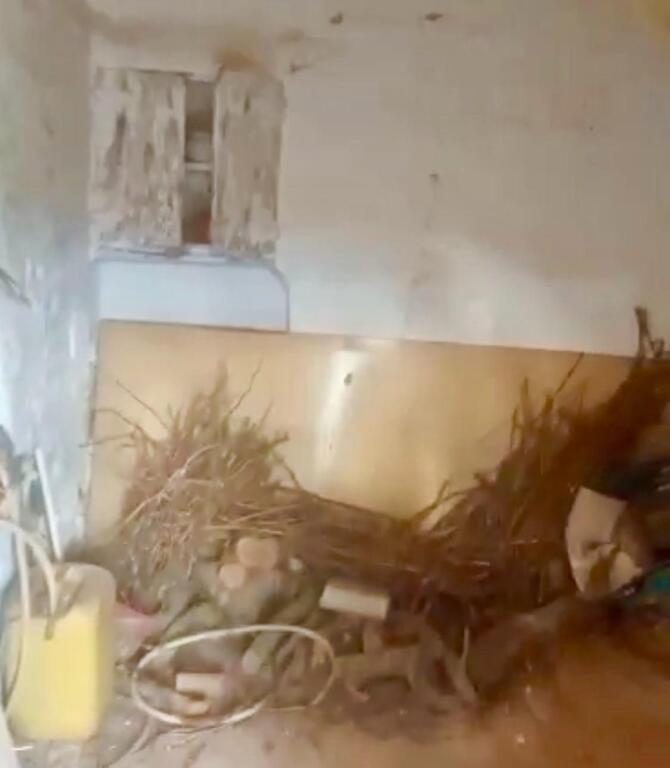 Imagen 4 de Casa con patio para rehabilitar en Godall