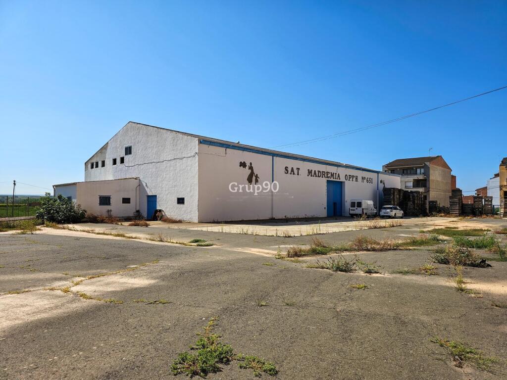 Imagen 4 de NAVE INDUSTRIAL Y TERRENOS FRUTALES EN AITONA