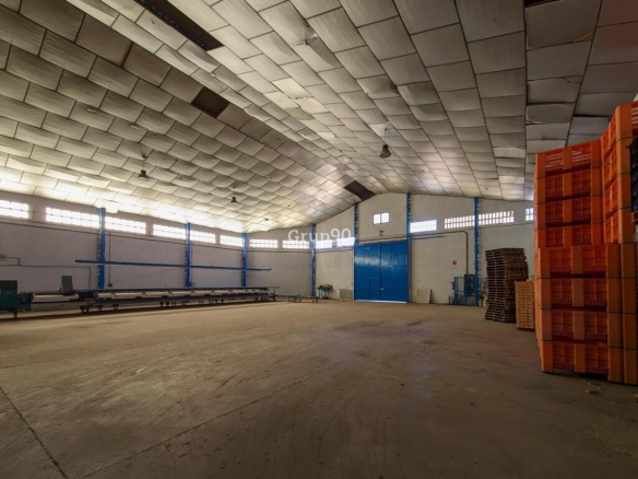 Imagen 1 de NAVE INDUSTRIAL Y TERRENOS FRUTALES EN AITONA