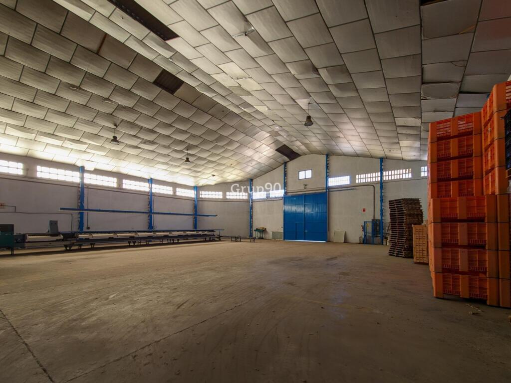 Imagen 1 de NAVE INDUSTRIAL Y TERRENOS FRUTALES EN AITONA