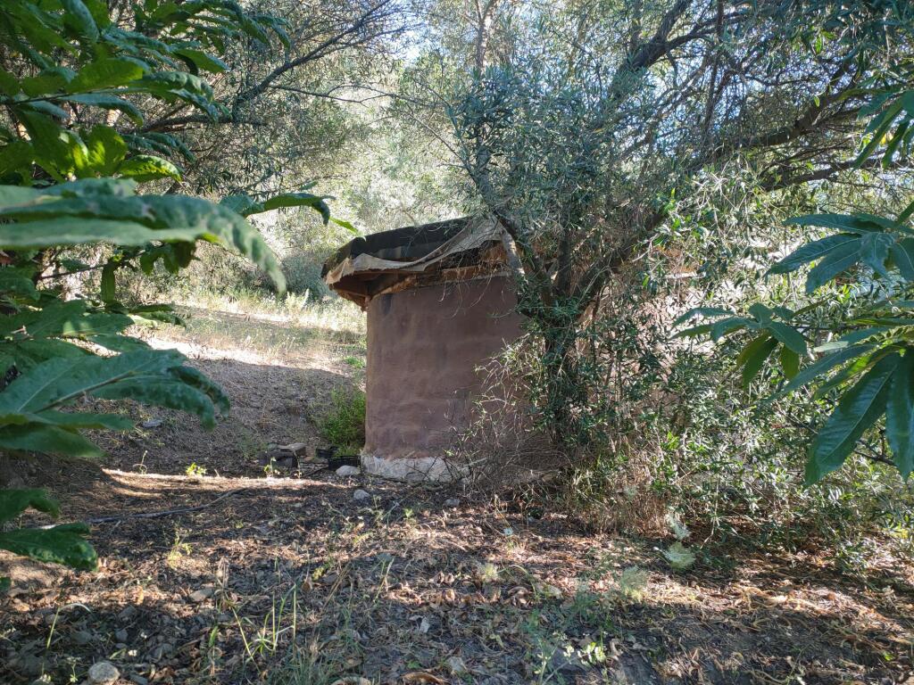 Imagen 2 de Parcela en Venta en Genalguacil Málaga